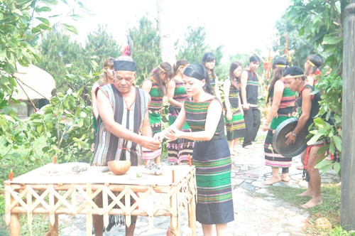 Già làng lấy tiết lợn hòa cùng rượu.