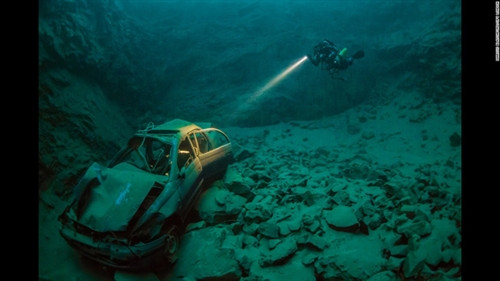 Những tuyệt phẩm dưới nước đạt giải năm 2016 ảnh 7