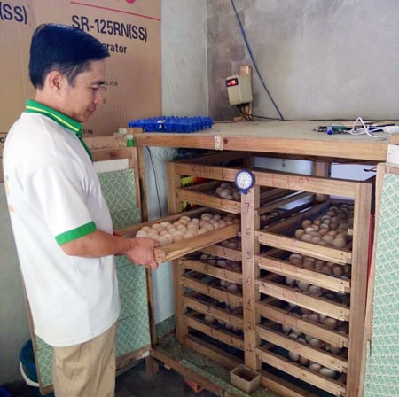 Ông Lâm bên chiếc máy ấp trứng tự chế tạo. Ông Lâm bên chiếc máy ấp trứng tự chế tạo.