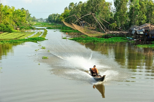 Chùm ảnh ấn tượng về đồng bằng sông Cửu Long ảnh 9 Chùm ảnh ấn tượng về đồng bằng sông Cửu Long ảnh 9