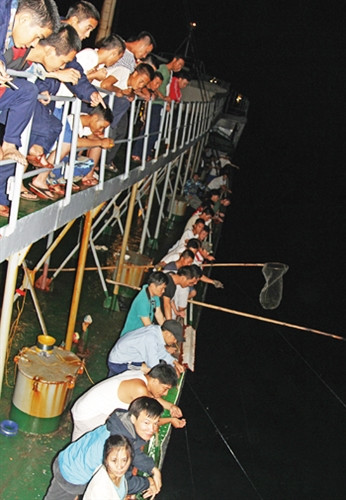 Câu cá đêm trên biển Trường Sa ảnh 2