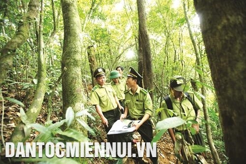 Cán bộ kiểm lâm Khu bảo tồn thiên nhiên Ngọc Linh tuần tra, bảo vệ rừng. Ảnh: An Thành Đạt - TTXVN