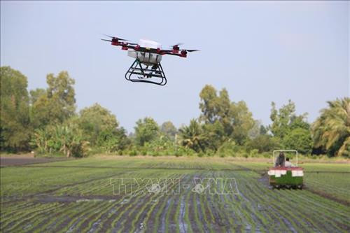 Trình diễn vận hành máy bay không người lái phun thuốc, phân bón trên đồng ruộng. Ảnh: Duy Khương – TTXVN Trình diễn vận hành máy bay không người lái phun thuốc, phân bón trên đồng ruộng. Ảnh: Duy Khương – TTXVN