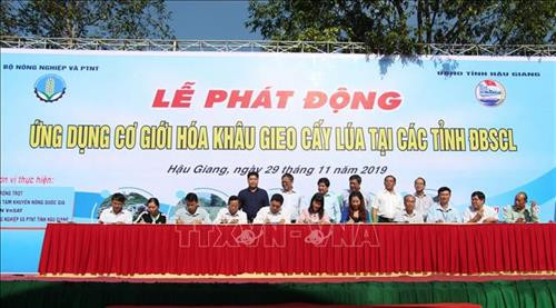 Đại diện Trung tâm Khuyến nông, Trung tâm Dịch vụ nông nghiệp các tỉnh, thành phố vùng Đồng bằng sông Cửu Long ký giao ước thi đua ứng dụng cơ giới hóa khâu gieo cấy trong sản xuất lúa. Ảnh: Hồng Thái - TTXVN Đại diện Trung tâm Khuyến nông, Trung tâm Dịch vụ nông nghiệp các tỉnh, thành phố vùng Đồng bằng sông Cửu Long ký giao ước thi đua ứng dụng cơ giới hóa khâu gieo cấy trong sản xuất lúa. Ảnh: Hồng Thái - TTXVN