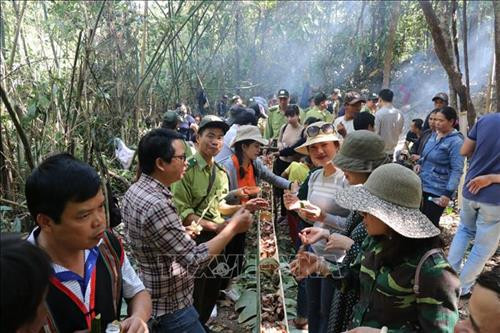 Già làng Siu Tới, làng Ograng, xã Ia Pếch, huyện Ia Grai cùng bà con, dân quân tự vệ, lực lượng kiểm lâm đang tiến hành thực hiện nghi lễ cúng Rừng. Ảnh: Hồng Điệp - TTXVN Già làng Siu Tới, làng Ograng, xã Ia Pếch, huyện Ia Grai uống rượu cần cùng Hạt trưởng chi cục Kiểm lâm huyện Ia Grai và cam kết giữ rừng. Ảnh: Hồng Điệp - TTXVN Sau lễ cúng Rừng, bà con huyện tập trung ăn uống theo kiểu truyền thống. Ảnh: Hồng Điệp - TTXVN Cùng chúc tụng nhau một mùa Xuân mới nhiều niềm vui. Ảnh: Hồng Điệp - TTXVN Già làng Siu Tới, làng Ograng, xã Ia Pếch, huyện Ia Grai cùng bà con, dân quân tự vệ, lực lượng kiểm lâm đang tiến hành thực hiện nghi lễ cúng Rừng. Ảnh: Hồng Điệp - TTXVN Già làng Siu Tới, làng Ograng, xã Ia Pếch, huyện Ia Grai uống rượu cần cùng Hạt trưởng chi cục Kiểm lâm huyện Ia Grai và cam kết giữ rừng. Ảnh: Hồng Điệp - TTXVN Sau lễ cúng Rừng, bà con huyện tập trung ăn uống theo kiểu truyền thống. Ảnh: Hồng Điệp - TTXVN Cùng chúc tụng nhau một mùa Xuân mới nhiều niềm vui. Ảnh: Hồng Điệp - TTXVN