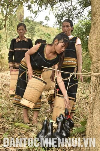 Những bầu nước mát sạch nơi đầu nguồn. Ảnh: Trần Tấn Những bầu nước mát sạch nơi đầu nguồn. Ảnh: Trần Tấn