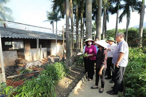 Phó Bí thư Thường trực Thành ủy Hà Nội Ngô Thị Thanh Hằng thăm Khu chăn nuôi lợn rừng của Trang trại Hoa Viên. Ảnh: Hoàng Hà Trang trại Hoa Viên nuôi hơn 1.000 con lợn rừng sinh sản. Ảnh: Hoàng Hà Trang trại Hoa Viên mỗi năm cung cấp cho thị trường gần 1 vạn con lợn giống và hàng nghìn tấn lợn thương phẩm chất lượng cao. Ảnh: Hoàng Hà