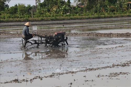 Làm đất chuẩn bị gieo sạ ở huyện Cai Lậy, tỉnh Tiền Giang. Ảnh: Minh Trí-TTXVN Làm đất chuẩn bị gieo sạ ở huyện Cai Lậy, tỉnh Tiền Giang. Ảnh: Minh Trí-TTXVN