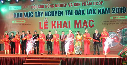 Đại biểu cắt băng khai mạc Hội chợ nông nghiệp và sản phẩm OCOP khu vực Tây Nguyên tại Đắk Lắk năm 2019.
