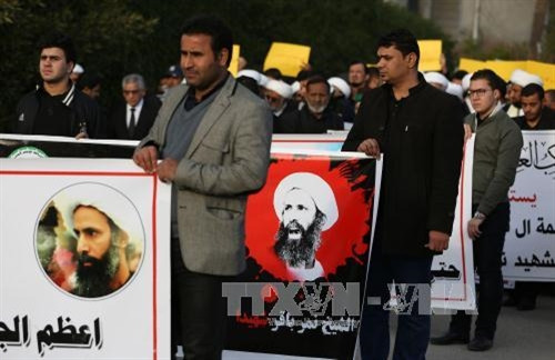 Mục đích của Saudi Arabia khi tử hình giáo sỹ al-Nimr ảnh 1