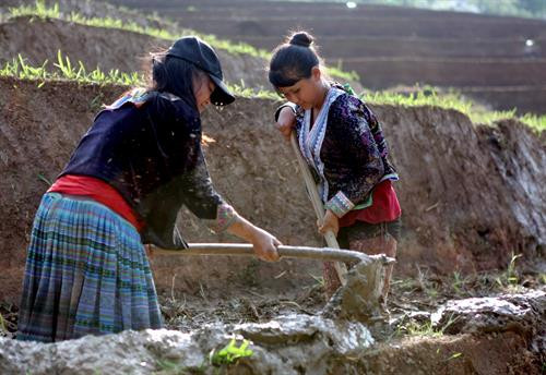 Người dân lấy nước vào ruộng chuẩn bị cho vụ lúa mới tại xã Tả Lèng, huyện Tam Đường tỉnh Lai Châu. Ảnh: Quý Trung - TTXVN Để có những thửa ruộng bậc thang chạy dài uốn quanh sườn núi là công sức của bao đời của nhân dân các vùng núi cao. Ảnh: Quý Trung - TTXVN Người dân tập trung cấy trên những cánh đồng đã đầy no nước trời tại xã Tả Lèng huyện Tam Đường tỉnh Lai Châu. Ảnh: Quý Trung - TTXVN Nhiều hộ dân có điều kiện đầu tư máy cầy để phục vụ cho một vụ mùa mới. Ảnh: Quý Trung - TTXVN Những cơn mưa lớn mang dòng nước nguồn từ trên các ngọn núi đổ xuống những ruộng bậc thang tạo thành những vệt màu đa sắc, càng làm sống động bức tranh bình dị của xã Tà Lèng, huyện Tam Đường tỉnh Lai Châu. Ảnh: Quý Trung - TTXVN Người dân lấy nước vào ruộng chuẩn bị cho vụ lúa mới tại xã Tả Lèng, huyện Tam Đường tỉnh Lai Châu. Ảnh: Quý Trung - TTXVN Để có những thửa ruộng bậc thang chạy dài uốn quanh sườn núi là công sức của bao đời của nhân dân các vùng núi cao. Ảnh: Quý Trung - TTXVN Người dân tập trung cấy trên những cánh đồng đã đầy no nước trời tại xã Tả Lèng huyện Tam Đường tỉnh Lai Châu. Ảnh: Quý Trung - TTXVN Nhiều hộ dân có điều kiện đầu tư máy cầy để phục vụ cho một vụ mùa mới. Ảnh: Quý Trung - TTXVN Những cơn mưa lớn mang dòng nước nguồn từ trên các ngọn núi đổ xuống những ruộng bậc thang tạo thành những vệt màu đa sắc, càng làm sống động bức tranh bình dị của xã Tà Lèng, huyện Tam Đường tỉnh Lai Châu. Ảnh: Quý Trung - TTXVN