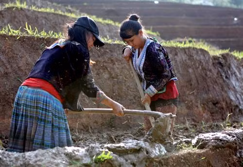 Người dân lấy nước vào ruộng chuẩn bị cho vụ lúa mới tại xã Tả Lèng, huyện Tam Đường tỉnh Lai Châu. Ảnh: Quý Trung - TTXVN Để có những thửa ruộng bậc thang chạy dài uốn quanh sườn núi là công sức của bao đời của nhân dân các vùng núi cao. Ảnh: Quý Trung - TTXVN Người dân tập trung cấy trên những cánh đồng đã đầy no nước trời tại xã Tả Lèng huyện Tam Đường tỉnh Lai Châu. Ảnh: Quý Trung - TTXVN Nhiều hộ dân có điều kiện đầu tư máy cầy để phục vụ cho một vụ mùa mới. Ảnh: Quý Trung - TTXVN Những cơn mưa lớn mang dòng nước nguồn từ trên các ngọn núi đổ xuống những ruộng bậc thang tạo thành những vệt màu đa sắc, càng làm sống động bức tranh bình dị của xã Tà Lèng, huyện Tam Đường tỉnh Lai Châu. Ảnh: Quý Trung - TTXVN