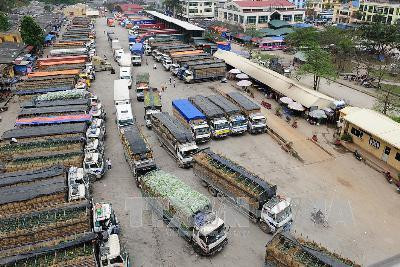 Tình trạng dồn ứ hàng nông sản tại cửa khẩu Tân Thanh. Ảnh: Hoàng Văn Toàn - TTXVN Tình trạng dồn ứ hàng nông sản tại cửa khẩu Tân Thanh. Ảnh: Hoàng Văn Toàn - TTXVN