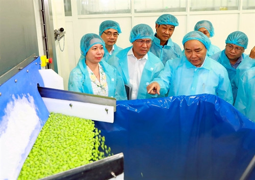 Thủ tướng Nguyễn Xuân Phúc đến thăm Nhà máy Bình Long thuộc Công ty Cổ phần Rau quả Thực phẩm An Giang (ANTESCO). Ảnh: Thống Nhất-TTXVN