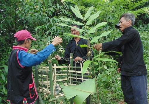 Thầy mo thực hiện lễ cúng. Đồ cúng của người Si La gồm có gà và chó. Người dân chuẩn bị bàn thờ để thực hiện lễ cúng các thần linh. Người già đại diện cho cả bản cắm cây "Ta Leo" ở các con đường vào nương, rẫy... để cấm người dân lên nương trong khi đang làm lễ cúng.