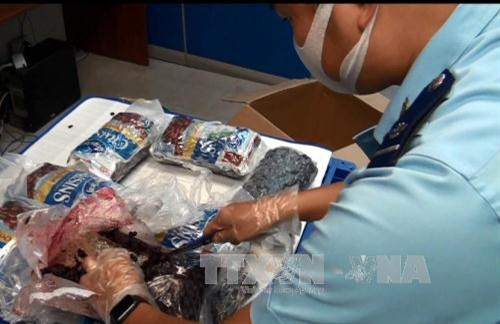 Cần sa bị bắt giữ khi làm thủ tục qua cửa khẩu sân bay Tân Sơn Nhất. Ảnh: Hoàng Hải-TTXVN