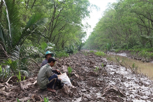 Cư dân địa phương chờ thuỷ triều lên để giăng lưới mưu sinh.