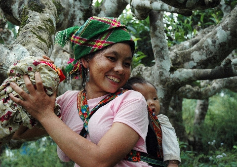 Nụ cười hạnh phúc (ảnh chụp bên cây chè cổ Suối Giàng, Nghĩa Lộ). Nụ cười hạnh phúc (ảnh chụp bên cây chè cổ Suối Giàng, Nghĩa Lộ).