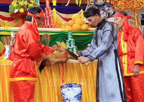 Rước gà trống vào lễ chính thức. Ảnh: An Đăng - TTXVN Kiểm tra lời hứa trước khi vào buổi lễ. Ảnh: An Đăng - TTXVN Nghi lễ cắt tiết gà "kim kê" là một nét rất riêng của Lễ hội Minh Thề. Ảnh: An Đăng - TTXN