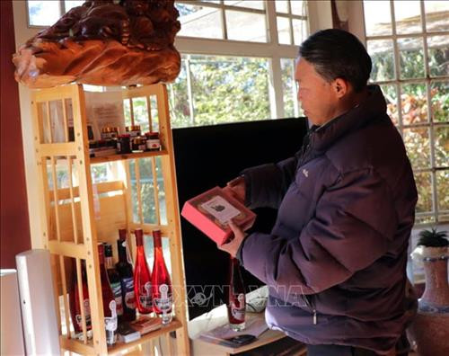 Ông Nguyễn Văn Hà, Giám đốc Công ty dâu rừng Langbiang giới thiệu các sản phẩm từ phúc bồn tử. Ảnh: Chu Quốc Hùng - TTXVN