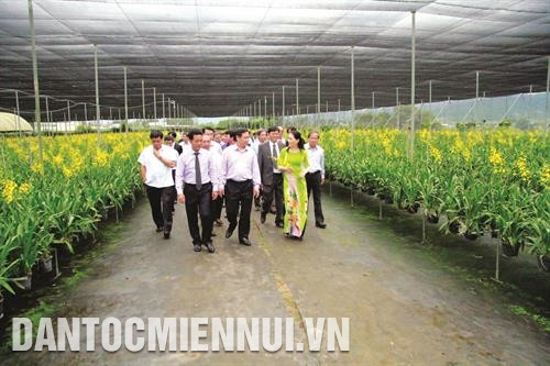 Phó Thủ tướng Vương Đình Huệ thăm quan Vườn lan Vũ nữ của Công ty trách nhiệm hữu hạn Hoa Mặt Trời. Ảnh: Chu Quốc Hùng