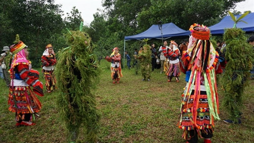 Trước khi vào lễ chính, trưởng họ mời thầy cúng tiền hành lễ trình tổ tiên với nghi thức cắt tiết gà Thầy cúng làm lễ báo cáo và mời tổ tiên về dự lễ và hưởng lễ vật con cháu dâng lên Điểm độc đáo trong trong nghi lễ này là những nam thanh niên khỏe mạnh buộc cỏ cây hoa lên lên người hóa trang thành Ma Cỏ để nhảy múa. Trống đồng là nhạc cụ duy nhất trong lễ cúng tổ tiên của người Lô Lô Các cô gái múa nghi lễ cùng Ma Cỏ theo nhịp trống đồng rộn rã tại bãi đất trống trước nhà giữa các phần cúng của thầy cúng Nghi lễ kết thúc, người trong gia đình đi mời rượu những người tham gia