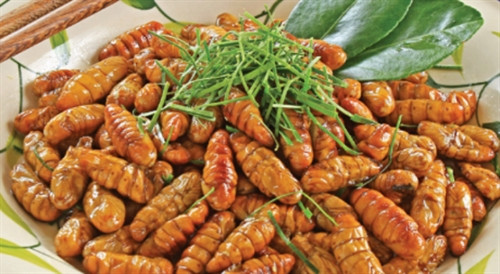 Nhộng ong rừng ảnh 1