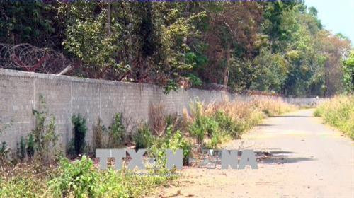 Để bảo vệ rừng trắc, tỉnh Kon Tum đã đầu tư hơn 27 tỷ đồng xây tường cao bao quanh. Ảnh: Quang Thái- TTXVN Để bảo vệ rừng trắc, tỉnh Kon Tum đã đầu tư hơn 27 tỷ đồng xây tường cao bao quanh. Ảnh: Quang Thái- TTXVN