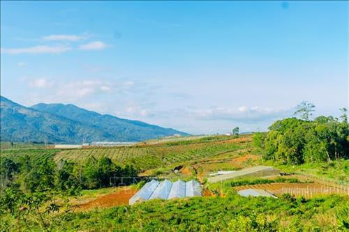 Một khu nông nghiệp công nghệ cao tại huyện Kon Plong. Ảnh: Quang Thái- TTXVN Một khu nông nghiệp công nghệ cao tại huyện Kon Plong. Ảnh: Quang Thái- TTXVN