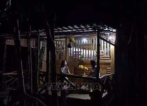 Du khách nghỉ dưỡng tại Homestay giữa rừng đước bạt ngàn của vùng Đất Mũi. Ảnh: Thế Anh-TTXVN