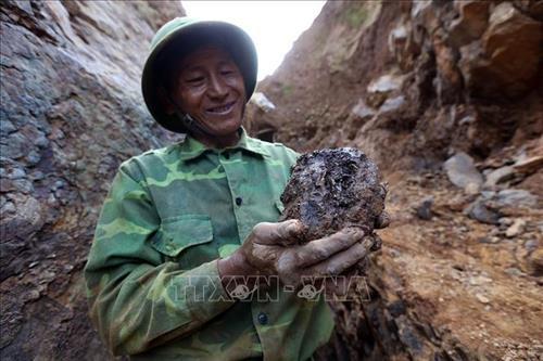 Một căn hầm khai thác vàng được "Phu vàng" đào ngay trên vách núi tiềm ẩn nguy cơ bị đất đá sạt lở vùi lấp nguy hiểm đến tính mạng. Ảnh: Phan Tuấn Anh – TTXVN Một "Phu vàng" đào được viên đá nghi có vàng tại mỏ vàng Háng Trợ. Ảnh: Phan Tuấn Anh – TTXVN "Phu vàng" dùng nước phun để rửa trôi bùn đất bám trên những viên đá nghi có vàng. Ảnh: Phan Tuấn Anh – TTXVN "Phu vàng" dùng nước phun để rửa trôi bùn đất bám trên những viên đá. Ảnh: Phan Tuấn Anh – TTXVN Một điểm khai thác vàng trái phép tại mỏ vàng Háng Trợ. Ảnh: Phan Tuấn Anh – TTXVN Những vách núi dựng đứng bị sạt lở, nứt toác tại mỏ vàng Háng Trợ. Ảnh: Phan Tuấn Anh – TTXVN Khai thác vàng trái phép ở bản Háng Trợ dẫn đến việc phá hủy môi trường, ô nhiễm nguồn nước. Ảnh: Phan Tuấn Anh – TTXVN Khai thác vàng trái phép làm ảnh hưởng nghiêm trọng đến môi trường. Ảnh: Phan Tuấn Anh – TTXVN Khung cảnh hoang tàn tại mỏ vàng Háng Trợ. Ảnh: Phan Tuấn Anh - TTXVN