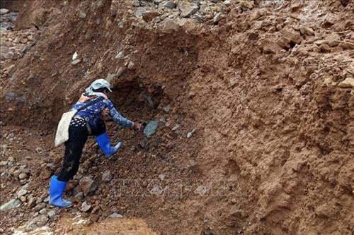 Khai thác tại vàng trong khe núi hẹp và dựng đứng luôn tiềm ẩn hiểm họa đá rơi gây tai nạn bất cứ lúc nào. Ảnh: Phan Tuấn Anh – TTXVN Một "Phu vàng" đang dùng búa đập vỡ những viên đá nghi có vàng trên các vách núi . Ảnh: Phan Tuấn Anh – TTXVN Việc khai thác vàng trái phép dẫn đến tình trạng phá vỡ kết cấu của nền đất đá, khiến bùn đất từ trên cao đổ xuống mỗi khi có mưa lớn. Ảnh: Phan Tuấn Anh – TTXVN