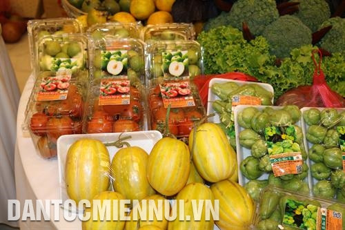 Gian hàng trưng bày sản phẩm nông sản sạch