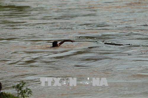 Những đứa trẻ không biết tai họa có thể ập đến lúc nào khi vớt củi trong mùa mưa bão. Ảnh: Phan Tuấn Anh - TTXVN Những đứa trẻ chờ đợi những tấm gỗ, thân cây trôi theo dòng nước. Ảnh: Phan Tuấn Anh - TTXVN Những đứa trẻ không biết tai họa có thể ập đến lúc nào khi vớt củi trong mùa mưa bão. Ảnh: Phan Tuấn Anh - TTXVN Những đứa trẻ chờ đợi những tấm gỗ, thân cây trôi theo dòng nước. Ảnh: Phan Tuấn Anh - TTXVN Dù nước sông chảy xiết, luôn rình rập hiểm nguy nhưng những đứa trẻ vẫn lao ra vớt củi. Ảnh: Phan Tuấn Anh - TTXVN Những đứa trẻ không biết tai họa có thể ập đến lúc nào khi vớt củi trong mùa mưa bão. Ảnh: Phan Tuấn Anh - TTXVN Những đứa trẻ chờ đợi những tấm gỗ, thân cây trôi theo dòng nước. Ảnh: Phan Tuấn Anh - TTXVN Những đứa trẻ không biết tai họa có thể ập đến lúc nào khi vớt củi trong mùa mưa bão. Ảnh: Phan Tuấn Anh - TTXVN Những đứa trẻ chờ đợi những tấm gỗ, thân cây trôi theo dòng nước. Ảnh: Phan Tuấn Anh - TTXVN Dù nước sông chảy xiết, luôn rình rập hiểm nguy nhưng những đứa trẻ vẫn lao ra vớt củi. Ảnh: Phan Tuấn Anh - TTXVN