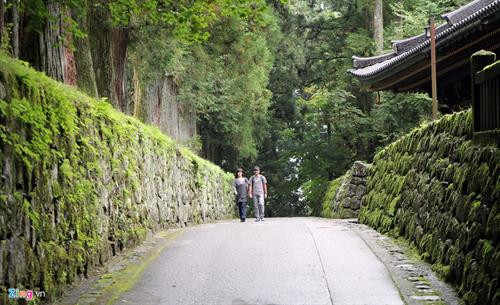 Nói đến Nikko, người hiểu lịch sử Nhật Bản liền nghĩ ngay đến Nikko Toshogu, một đền đài nguy nga nhất của xứ Phù Tang được UNESCO công nhận là di sản văn hoá thế giới vào năm 1999. Đường vào đền Nikko Toshogu vắt ngang con sông Daiya, với cây cầu Thần gỗ cong (Shin kyo) sơn son đẹp mắt, giống như cầu Thê Húc ở Hồ Gươm, Hà Nội. Đây là một trong 3 cây cầu đẹp nhất Nhật Bản. Nikko được ví như viên đá quý, bởi vẻ đẹp tự nhiên và vẻ đẹp kiến trúc Nhật Bản. Kiến trúc điện thờ vô cùng sắc sảo. Các nhà sử học ước lượng rằng để hoàn tất kiến trúc đền thờ Toshogu tốn khoảng 40 tỷ yen vào thời điểm ngày nay (8.547 tỷ đồng). Đền chùa Nikko là tên gọi chung của quần thể đền, chùa cổ nổi tiếng ở thành phố Nikko, tỉnh Tochigi. Dân địa phương thường gọi quần thể này là "hai đền một chùa", bởi quần thể gồm hai đền thờ Thần đạo Nikko Tosho-gu (đền Futarasan) và một ngôi chùa Phật giáo là chùa Rinno. 5 kiến trúc của đền Nikko Toshogu đã được Nhật Bản xếp vào hàng quốc bảo, và ba kiến trúc khác là tài sản văn hóa trọng yếu. Lăng mộ đền thờ của tướng quân Tokugawa được thiết kế tạo ra được một không gian rất trang nghiêm. Lối vào cổng chính rộng rãi, đường trải đá nhỏ màu xám, những rặng thông cao vút tạo ra một không gian uy nghi, thanh tịnh. Đại lộ những cây tuyết tùng được trồng xếp hàng dài ngay ngắn nằm ở hai bên vệ đường, được gọi là Sugi. Sau khi tướng quân Tokugawa Ieyasu chết năm 1616, Masatsuna Matsudaira đã xây dựng đền Nikko Toshogu, và ông bắt đầu trồng cây tuyết tùng Nhật Bản dọc theo con đường chính dẫn đến Nikko. Người ta ước tính có khoảng 200.000 cây tuyết tùng được trồng trong dịp này. Số lượng cây giảm đi rất nhiều và hiện nay chỉ còn 13.000 cây. Ðông Chiêu Cung - Toshogu - là tên gọi của đền thờ tướng quân Shogun Tokugawa Ieyasu - Ðức Xuyên Gia khang. Ông mất vào năm 1616 và con trai ông đã chọn Nikko làm nơi xây dựng đền thờ. Hơn 4 triệu người thợ làm trong trong 1 năm rưỡi để hoàn thiện cụm đền thờ có kiến trúc vô cùng sắc sảo này. Tổ hợp kiến trúc là điểm tuyệt vời trong số các tuyệt tác kiến trúc Nhật Bản thể hiện lối trang trí sang trọng và tinh tế. Kiến trúc đền thờ Toshogu để lại cho người sau cả một kho tàng về triết lý nhân sinh. Các hình ảnh khỉ đã được nhân cách hóa mô tả về đời sống con người. Một trong số đó có bức đặc biệt nhất khắc 3 chú khỉ, có tên từng chú khỉ là Kikazaru (bịt tai), Mizaru (bịt mắt) và Iwazaru (bịt miệng). Ba chú khỉ với vẻ mặt ngộ nghĩnh là hình tượng người Nhật Bản biểu đạt triết lý nhà Phật dạy rằng không nghe điều bậy, không nhìn điều bậy, không nói điều bậy. Bức khắc này của nghệ nhân Hidari Jingoro nổi tiếng từ thế kỉ 17. Hiện đền cũng là nơi những gia đình quyền quý tổ chức lễ thành hôn. Hàng năm đền thờ tướng quân Tokugawa - nơi được mệnh danh là ”Di Hòa Viên” của Nhật Bản, thu hút hàng trăm ngàn lượt khách du lịch.