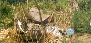 Trước đây người Co cũng dựng nhà mồ cho người chết. Ngày nay phần mộ chỉ được rào kín, phía trên che một chiếc chiếu. Cạnh dựng một cây cột nhỏ, cao chừng 1,5m, trên treo tấm vải đen và chiếc cột khác treo gùi - tượng trưng cho kho lúa, phần được chia của người đã khuất.