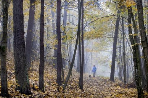 Một con sóc tìm thức ăn trên thảm lá vàng tại công viên Tsaritsino, Moskva, Nga. Ảnh: Maxim Shipenkov. Người phụ nữ và đứa bé chơi với lá vàng tại một công viên ở thành phố cảng St. Petersburg, Nga. Ảnh: AP. Một du khách trekking lên dãy núi Zillertal Alps tại làng Ginzling, Áo. Đỉnh Hochfeiler của dãy núi này có độ cao 3.510 m, vào mùa đông sẽ trở thành điểm đến trượt tuyết của nhiều khách du lịch. Ảnh: Reuters. Khung cảnh tại làng Gorodechno, nơi cách thủ đô Minsk của Belarus khoảng 150 km về phía tây. Ảnh: AP. Rừng thu lá vàng rực vào một ngày nắng ấm tại thủ đô Vilnius, Litva, một quốc gia ở châu Âu. Ảnh: AP Người phụ nữ dắt chó dạo chơi trong công viên ở Vilnius. Ảnh: AP. Anh Fischer Lees ghi lại khoảnh khắc cho chị Catherine Beni và con trai Maximus 3 tháng tuổi trong khu vườn Nhật Bản ngập tràn sắc lá đỏ thuộc thành phố Seattle, Washington, Mỹ. Theo các nhà khoa học, màu đỏ của lá được tạo ra bởi một loại sắc tố có tên là Anthocyanin. Ảnh: Seattle Times. Một con sóc tìm thức ăn trên thảm lá vàng tại công viên Tsaritsino, Moskva, Nga. Ảnh: Maxim Shipenkov. Người phụ nữ và đứa bé chơi với lá vàng tại một công viên ở thành phố cảng St. Petersburg, Nga. Ảnh: AP. Một du khách trekking lên dãy núi Zillertal Alps tại làng Ginzling, Áo. Đỉnh Hochfeiler của dãy núi này có độ cao 3.510 m, vào mùa đông sẽ trở thành điểm đến trượt tuyết của nhiều khách du lịch. Ảnh: Reuters. Khung cảnh tại làng Gorodechno, nơi cách thủ đô Minsk của Belarus khoảng 150 km về phía tây. Ảnh: AP. Rừng thu lá vàng rực vào một ngày nắng ấm tại thủ đô Vilnius, Litva, một quốc gia ở châu Âu. Ảnh: AP Người phụ nữ dắt chó dạo chơi trong công viên ở Vilnius. Ảnh: AP. Anh Fischer Lees ghi lại khoảnh khắc cho chị Catherine Beni và con trai Maximus 3 tháng tuổi trong khu vườn Nhật Bản ngập tràn sắc lá đỏ thuộc thành phố Seattle, Washington, Mỹ. Theo các nhà khoa học, màu đỏ của lá được tạo ra bởi một loại sắc tố có tên là Anthocyanin. Ảnh: Seattle Times.