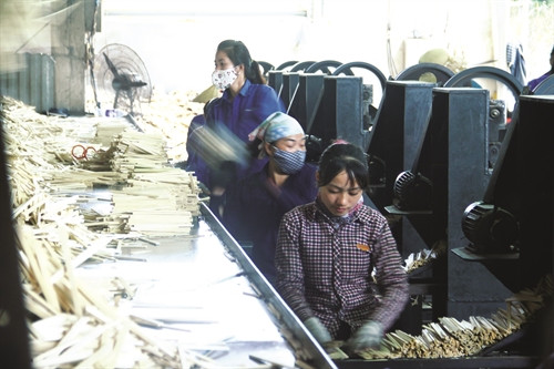 Nghề sản xuất đũa tre tạo công ăn việc làm ổn định cho hàng chục lao động là con em đồng bào tái định cư