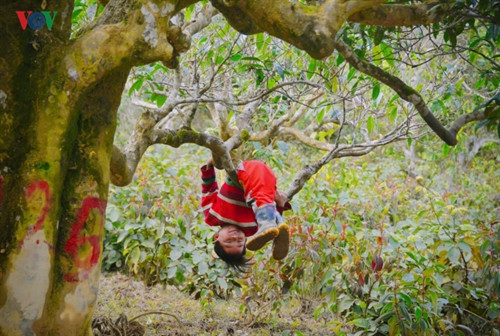Chơi đùa bên những gốc chè cổ thụ ở Suối Giàng (Yên Bái). Sân chơi của trẻ em miền núi cũng rất khác biệt, là triền ruộng, con suối, cây cỏ, khoảng trời mênh mông.