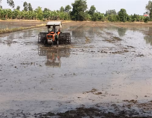 Nông dân huyện Vĩnh Lợi làm đất gieo cấy lúa hè thu