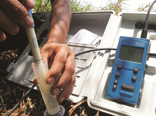 Cần kiểm tra độ mặn của nước trước khi bơm nước tưới cây Cần kiểm tra độ mặn của nước trước khi bơm nước tưới cây