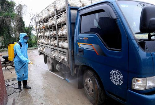 Chợ đầu mối gia cầm Hà Vĩ chủ động phòng, chống dịch cúm gia cầm ảnh 5 Chợ đầu mối gia cầm Hà Vĩ chủ động phòng, chống dịch cúm gia cầm ảnh 5