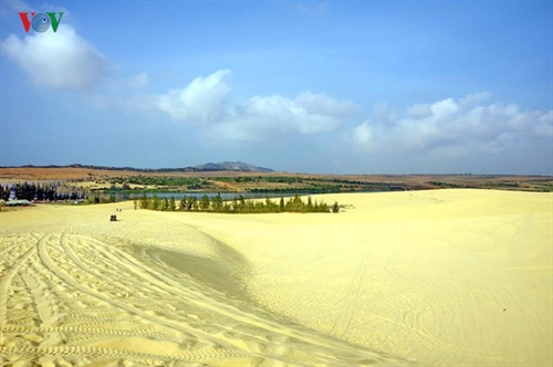 Giữa trưa, cát trắng như sa mạc