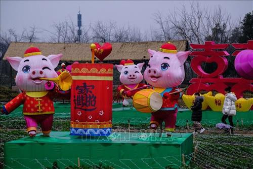 Đèn lồng hình những chú lợn chào đón Xuân Kỷ Hợi trưng bày tại tỉnh Chiết Giang , Trung Quốc. Ảnh: THX/TTXVN Đèn lồng hình những chú lợn chào đón Xuân Kỷ Hợi trưng bày tại tỉnh Chiết Giang , Trung Quốc. Ảnh: THX/TTXVN