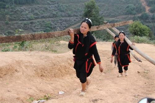 Dân tộc Sán Chỉ thường sống tập trung thành xóm nhỏ ở các vùng núi cao. Nhà sàn 4 mái vững trãi - kiểu dáng đặc trưng về nhà ở của dân tộc Sán Chỉ. Ngô, thóc sau thu hoạch được treo lên sào để bao quản. Sàn nhà là nơi phơi nông sản, đồng thời cũng là điểm vui chơi của trẻ nhỏ. Phụ nữ Sán Chỉ mặc trang phục truyền thống trong sinh hoạt hằng ngày. Phụ nữ có thêm khăn đội đầu khi lao động Nam giới mặc áo chàm ngắn, đầu quấn khăn Các em nhỏ Sán Chỉ tròng trang phục truyền thống Mẹ địu con Những người phụ nữ Sán Chỉ cũng làm công việc nặng nhọc. Trang phục dịp lễ, tết của người Sán Chỉ rực rỡ Một thủ tục trong đám cưới của người Sán Chỉ. Người Sán Chỉ rất hiếu khách, dù lạ cũng như quen. Người Sán Chỉ có tính cố kết cộng đồng rất cao. Dân tộc Sán Chỉ thường sống tập trung thành xóm nhỏ ở các vùng núi cao. Nhà sàn 4 mái vững trãi - kiểu dáng đặc trưng về nhà ở của dân tộc Sán Chỉ. Ngô, thóc sau thu hoạch được treo lên sào để bao quản. Sàn nhà là nơi phơi nông sản, đồng thời cũng là điểm vui chơi của trẻ nhỏ. Phụ nữ Sán Chỉ mặc trang phục truyền thống trong sinh hoạt hằng ngày. Phụ nữ có thêm khăn đội đầu khi lao động Nam giới mặc áo chàm ngắn, đầu quấn khăn Các em nhỏ Sán Chỉ tròng trang phục truyền thống Mẹ địu con Những người phụ nữ Sán Chỉ cũng làm công việc nặng nhọc. Trang phục dịp lễ, tết của người Sán Chỉ rực rỡ Một thủ tục trong đám cưới của người Sán Chỉ. Người Sán Chỉ rất hiếu khách, dù lạ cũng như quen. Người Sán Chỉ có tính cố kết cộng đồng rất cao.