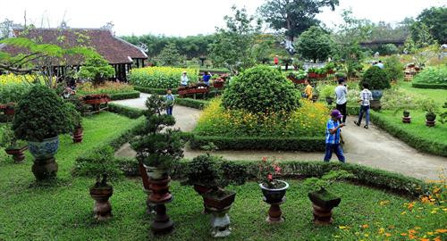 Du khách dạo bước trong không gian “Phong lan và cây cảnh ba miền” tại vườn Cơ Hạ và vườn Thiệu Phương – Đại Nội Huế. Ảnh: Hoàng Hùng -TTXVN