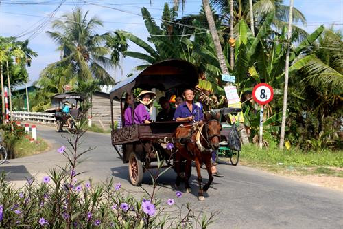 Đưa du khách tham quan bằng xe ngựa ở xã Tân Thạch, huyện Châu Thành. Ảnh: Trần Thị Thu Hiền - TTXVN Đưa du khách tham quan bằng xe ngựa ở xã Tân Thạch, huyện Châu Thành. Ảnh: Trần Thị Thu Hiền - TTXVN