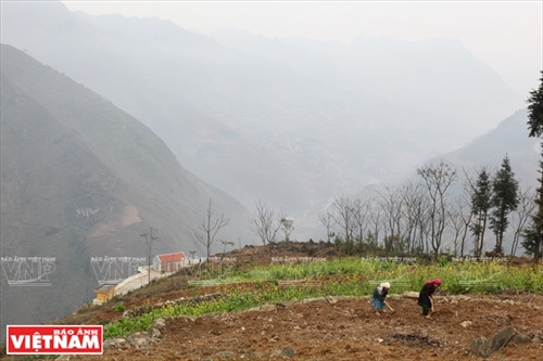 Người dân thổ canh ngay trên đỉnh Mã Pí Lèng. Ảnh: Tất Sơn