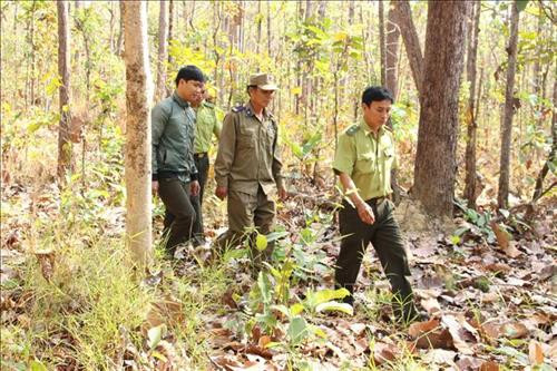 Lực lượng kiểm lâm kiểm tra công tác phòng cháy rừng ở huyện Bù Đốp. Ảnh: K GỬIH -TTXVN