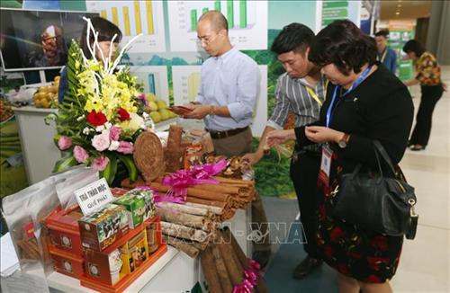 Gian trưng bày sản phẩm nông - lâm nghiệp của tỉnh Yên Bái tại Triển lãm. Ảnh: Anh Tuấn – TTXVN Gian trưng bày sản phẩm nông - lâm nghiệp của tỉnh Yên Bái tại Triển lãm. Ảnh: Anh Tuấn – TTXVN